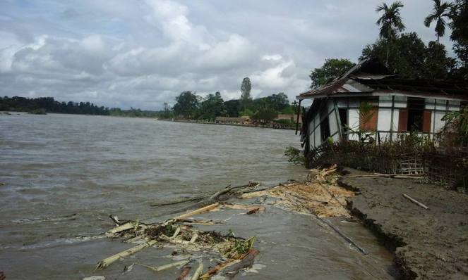 11952045_1041738072505884_5282286835607934645_n