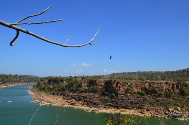 Ken River in PTR-Glimpse of long deep gorge (Photo by RS Murthy)