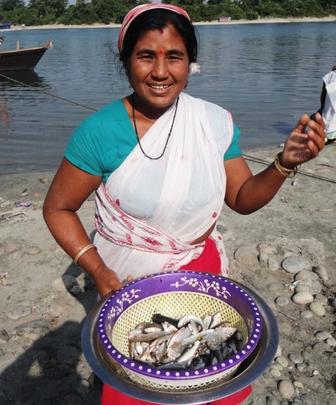Above: Lady with her quick catch at Alubari Ghat on the Lohit River in Arunachal Pradesh. several catches like these throughout the day help her with her livelihood and protein security 