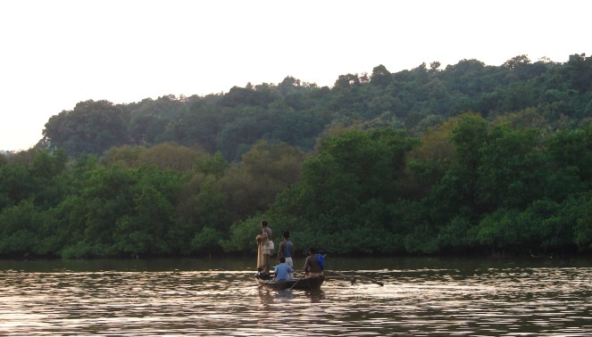 FIshing at the Vashishthi Estuary. Vashishthi is a west flowing river in Maharashtra Western Ghats. Fish population here has collapsed following pollution from Lote Parshuram Chemical Industries and water releases from Koyana HEP