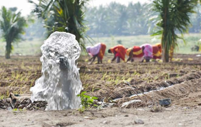 11834831074_e86350115d_k2