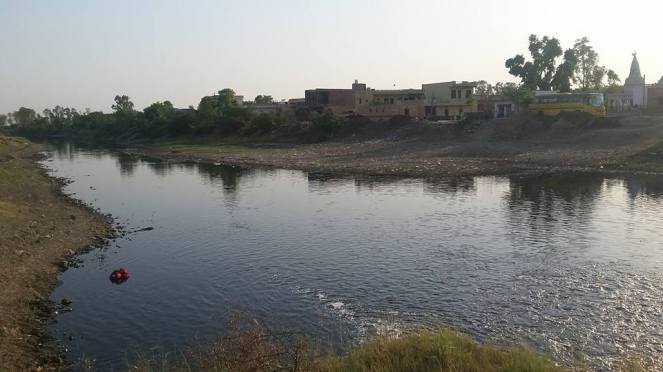 13062397_229254640763663_9110494485550268065_n