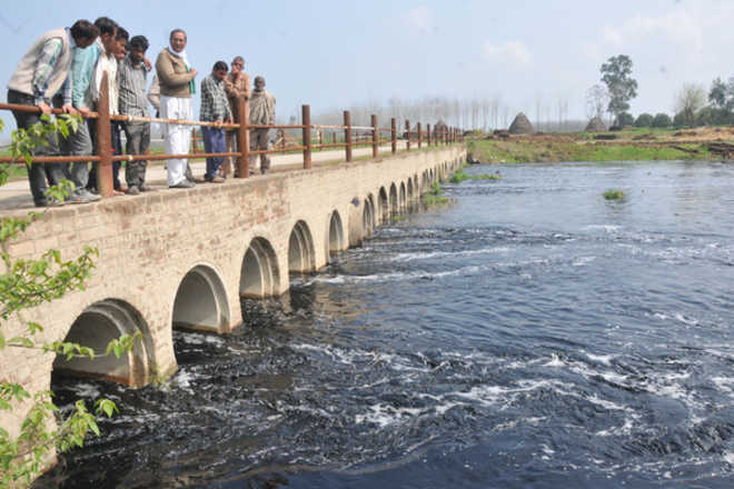 2015_3$largeimg03_Mar_2015_231131470