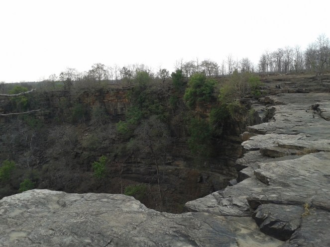 Another seha at Bador within the Panna NP (Photo by Manoj Misra)