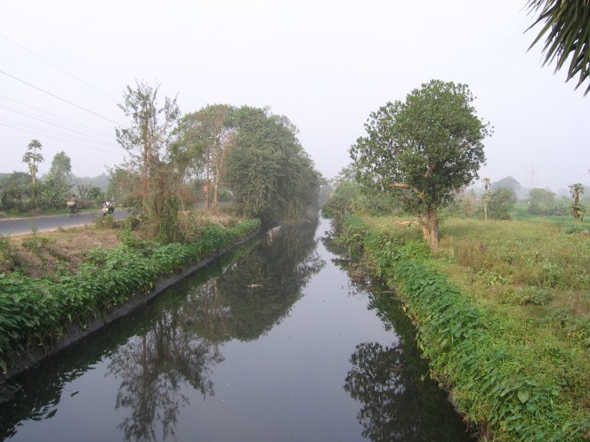 Central Lake channel carries sewage that is needed for fish ponds. (Phot by Dhrubajyoti Ghosh)