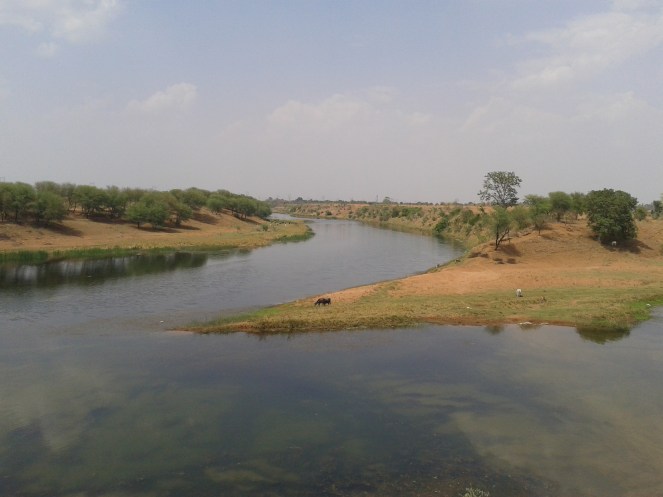 Confluence of river Patne (nearer in the pic) with river Ken (farther in the pic) at vill Chandanpur (Photo by Manoj Misra)