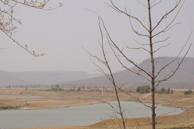 Dry river Ken at the proposed dam site at Daudhan village inside the Panna NP (Photo by Manoj Misra)