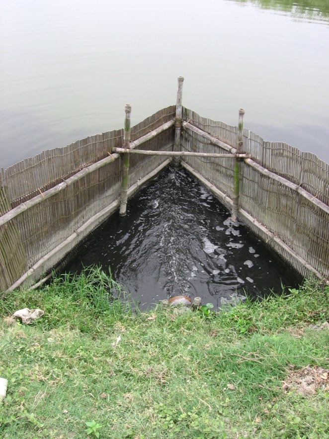 Inlet for sewage at the fish ponds. (Photo by Dhrubajyoti Ghosh)