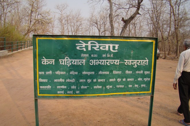 Ken Ghariyal sanctuary (Photo by Manoj Misra)