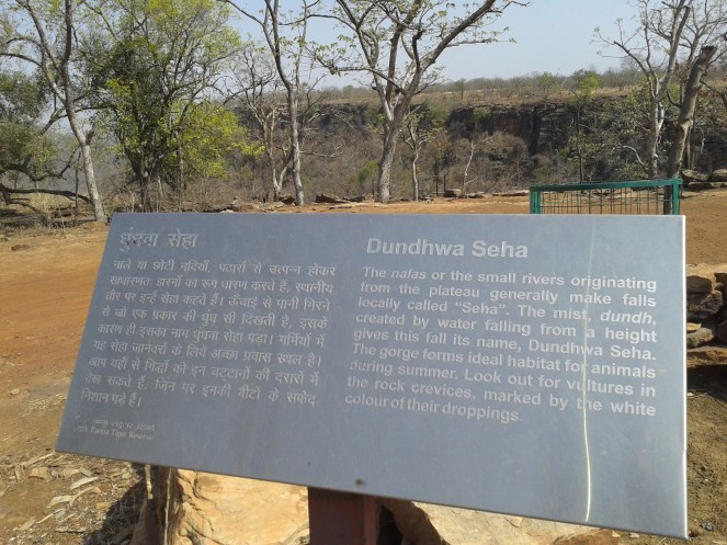 Seha information board (Photo by Manoj Misra)