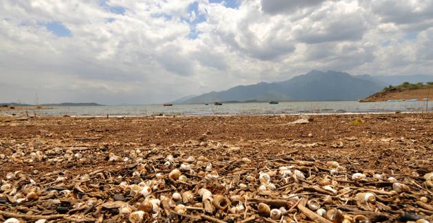 11thdam1_jpg_3005948g