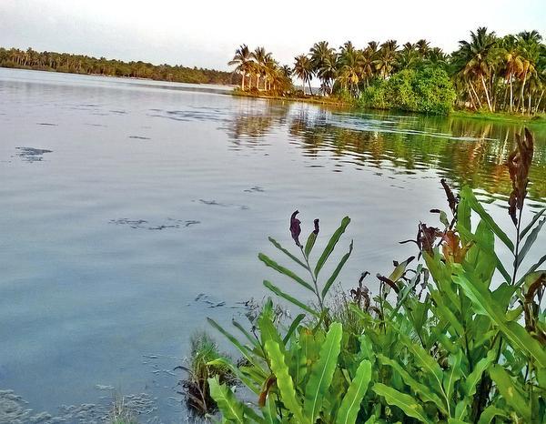 koigihi1-kadina_gu_3013589f