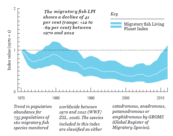 7-fish-migration-1