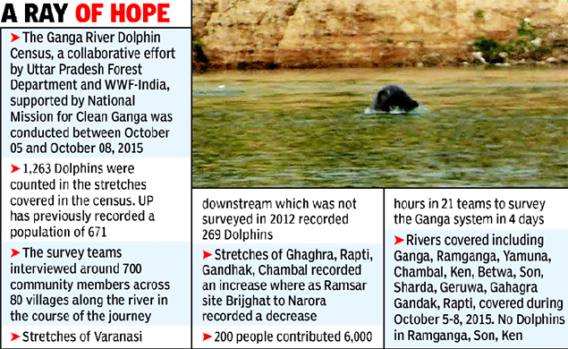The photograph of a water buffalo published by The Times of India as the Ganges River Dolphin.