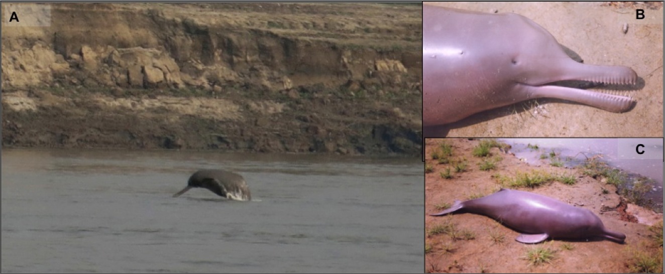 image2_turningblindeyes