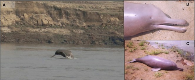 image2_turningblindeyes