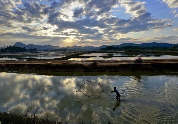 all_1_front_pga_gv_3058277f