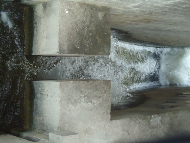 Water Flowing down the fish ladder at Narora barrage (Photo by SANDRP)