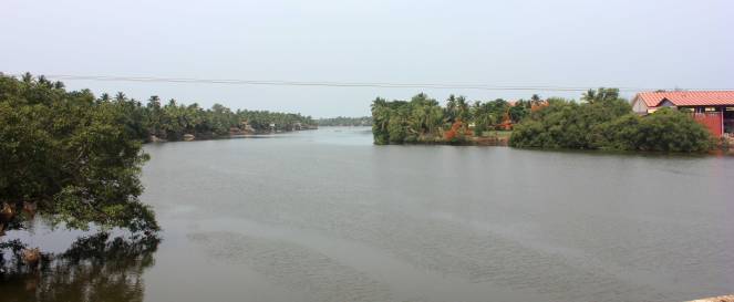 sal_river_goa_india