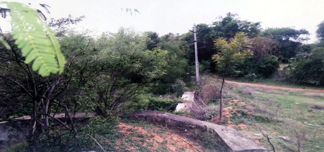 Dried Nagireddi Lake of Hyderabad (Photo: The Hans India)