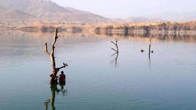 children-playing-near-a-tree-still-standing-on-their-submerged-farms-in-the-sardar-sarovar-reservoir