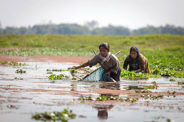 16248664574_6c507d46c9_z