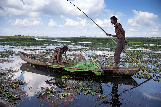 16683629910_70e86c3c02_z