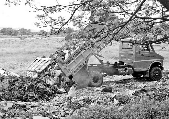 wetland-under-attack