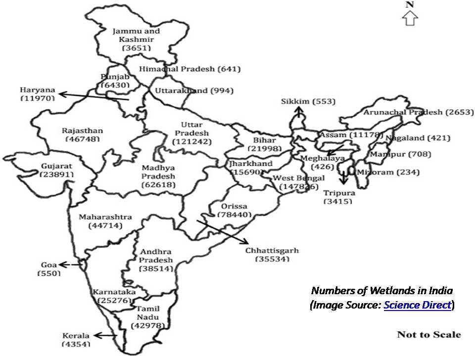 wetlands-in-india