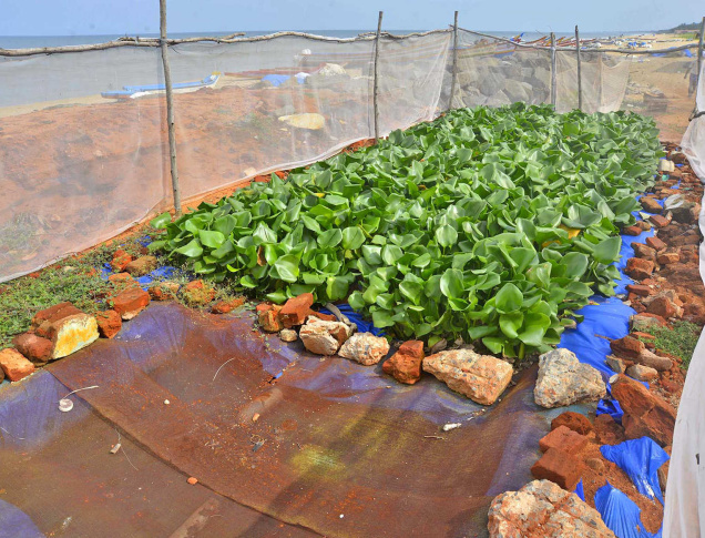 PY02Wastewater Treatment 4