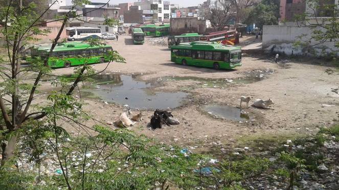 17426167_1881244175467110_4332905871343895315_n