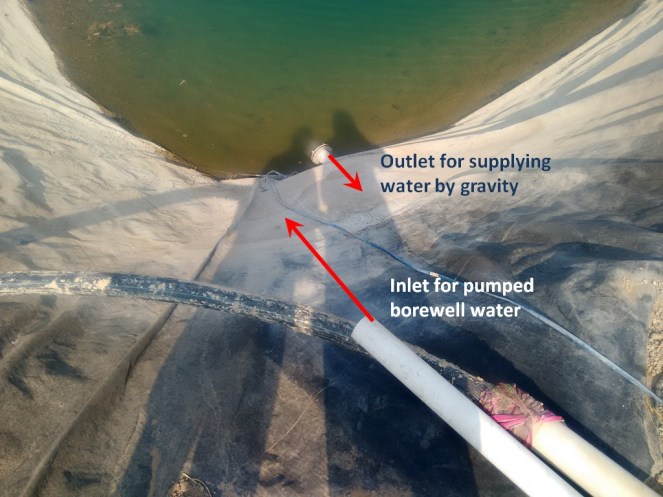 Farm ponds with inlet for pumped borewell water (Photo: Author)