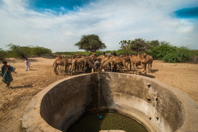 10-DSC_4183-RM-We_walk_to_our_own_rhythm.max-1400x1120