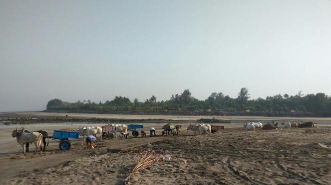 _ef8d3106-163d-11e7-85c6-0f0e633c038c