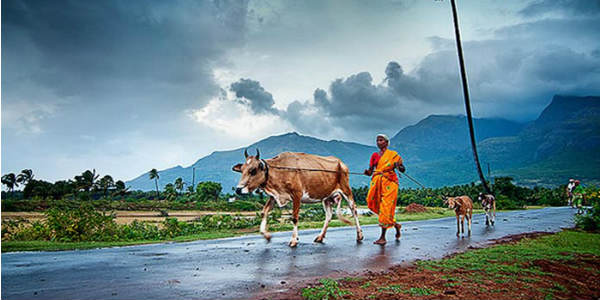 Monsoon-in-India4.jpg