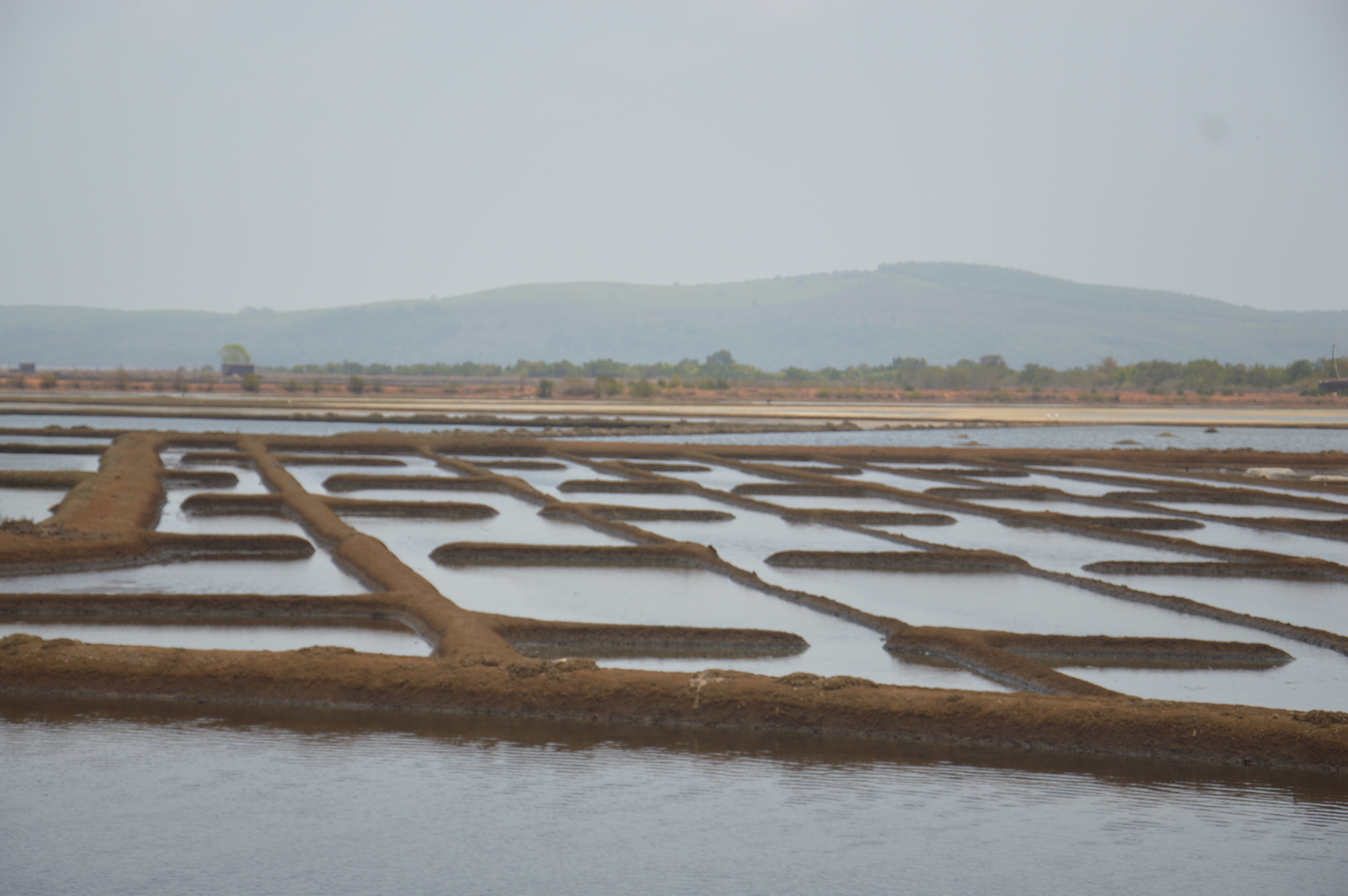 The state of the Aghanashini River Estuary – SANDRP