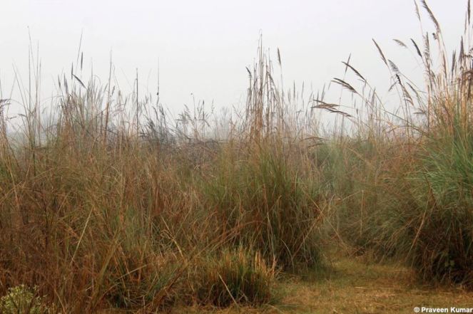 23435136_10203867086753020_7148759583663466611_n