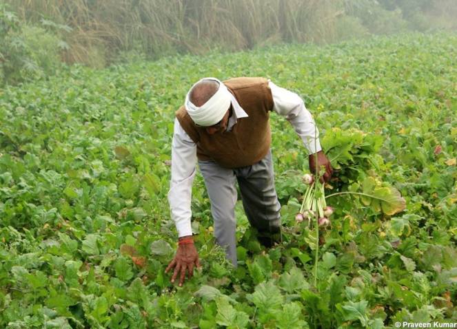 23472470_10203867074312709_4740300808415305636_n