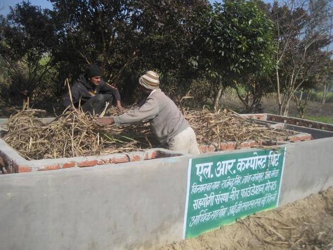 A farmer fills a compost pit with sugarcane leaves to make fertilizer in Meerut (Photo Credit Parvez Khan)