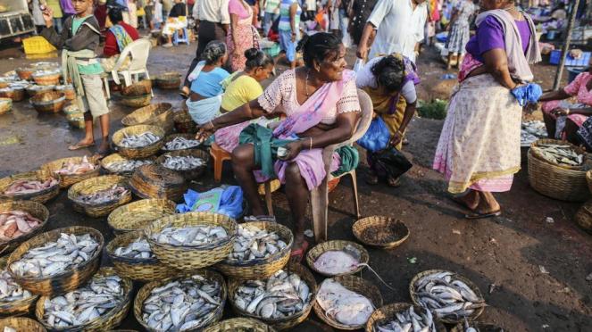 A vendor sits waiting for customers at the Margoa wholesale fish market in Goa (Bloomberg via Getty Images)
