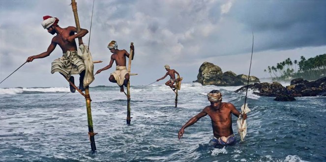 lanka-stick-fishing