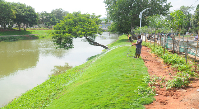 ELURU-CANAL_5070
