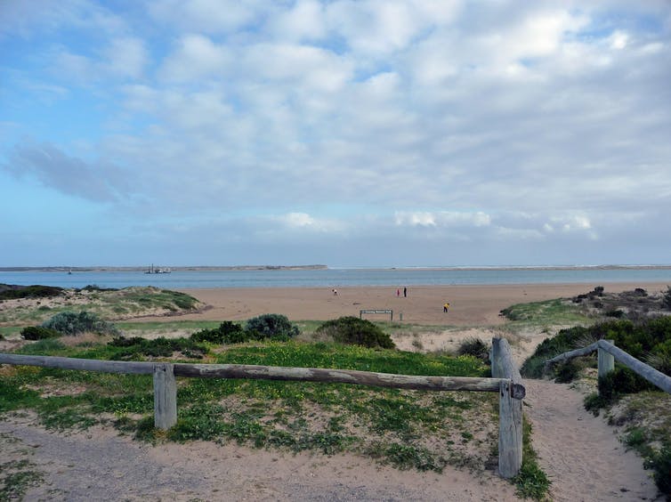 file-20171205-23047-1fz8pbt