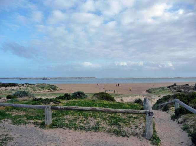 file-20171205-23047-1fz8pbt