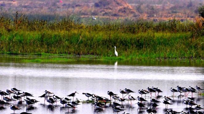 _6fd61654-bf38-11e7-80b5-65d6945df80e