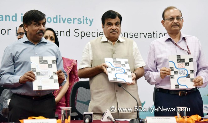 en-news-05483419-NNNN