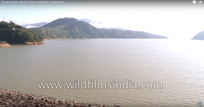 Doyang Project Wildfilmsindia.com Aug2018 3