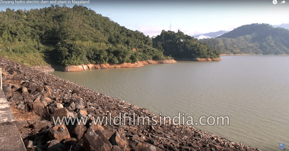 Doyang Project Wildfilmsindia.com Aug2018 5