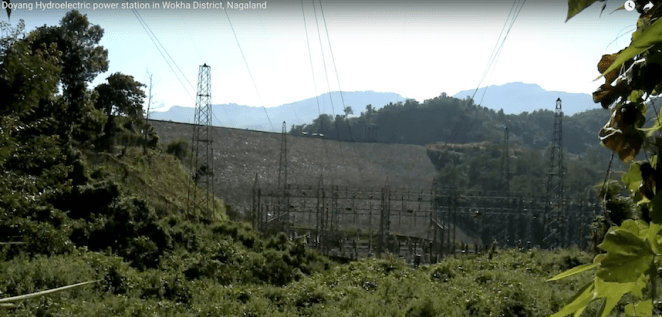 Doyang Project Wildfilmsindia.com Aug2018 6