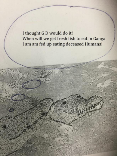 47475909_2357596220934704_4343153891303489536_n